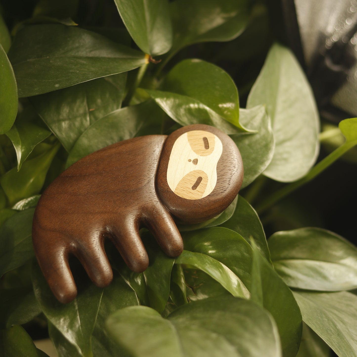 Slowpoke(Sloth) – Wooden Comb Head Massager